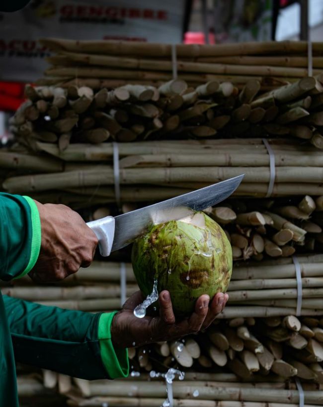 coconut water drinking from coconut-1-2-3-4-5