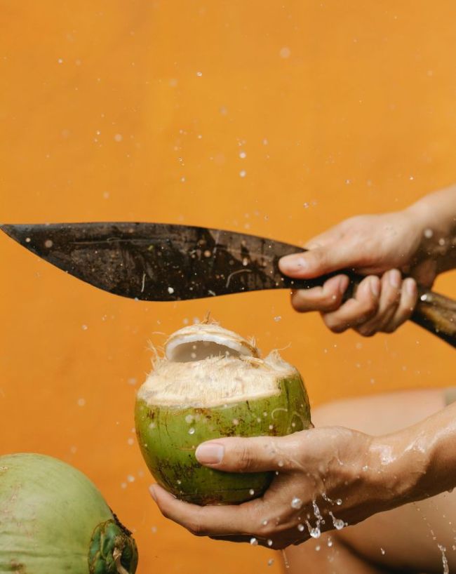 coconut water drinking from coconut-1-2-3