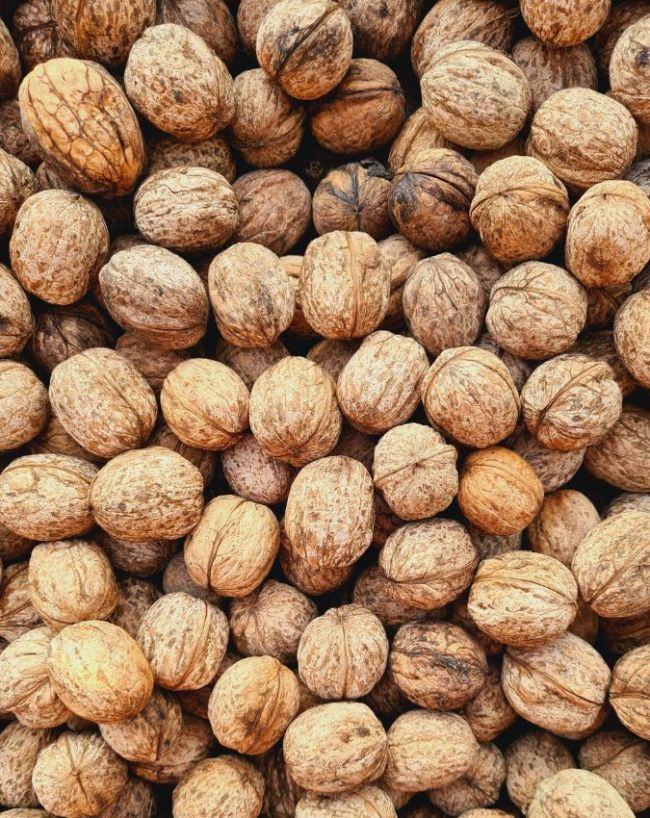 Walnuts Benefits-1-2-3-4-5