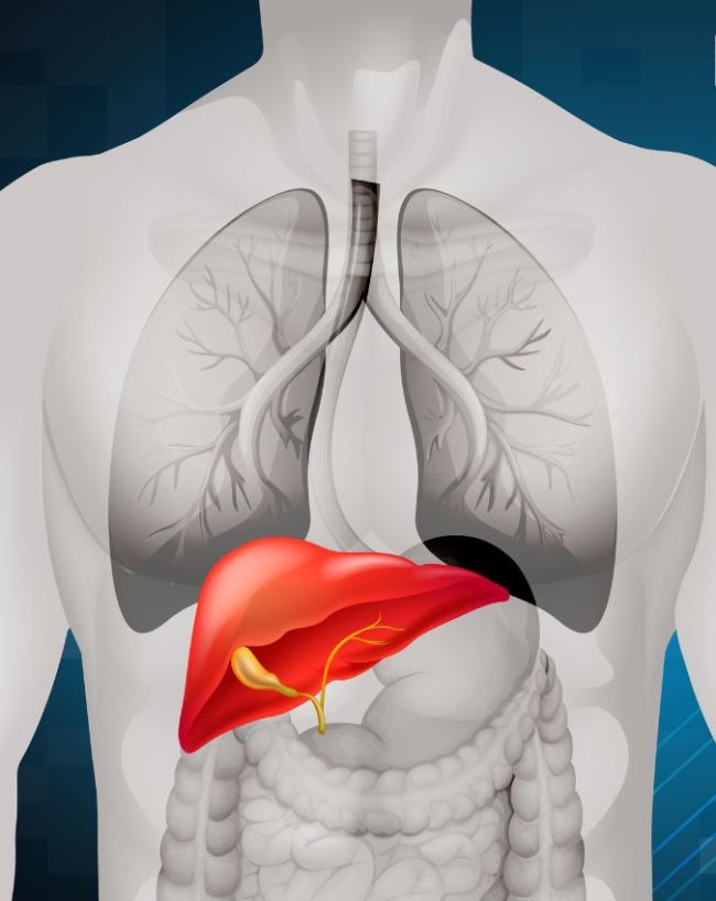 Fatty Liver Symptoms In Hindi-1-2-3-4-5-6