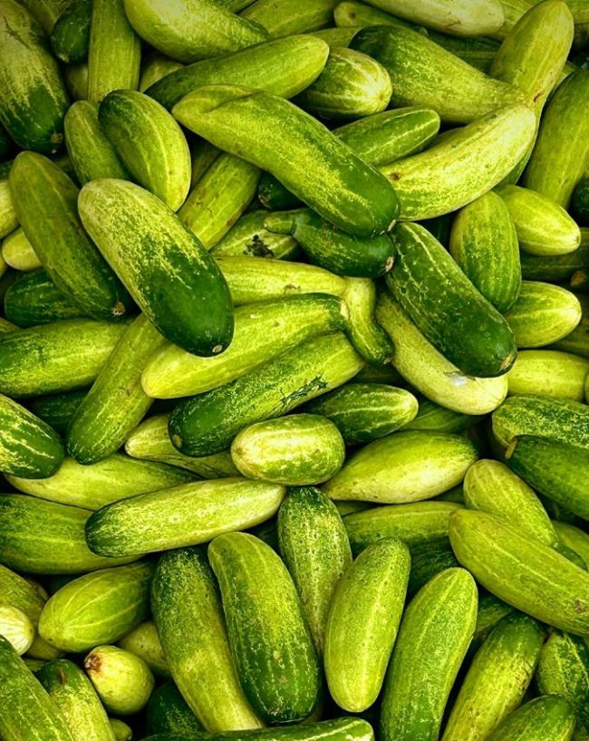What foods reduce body heat-1-2