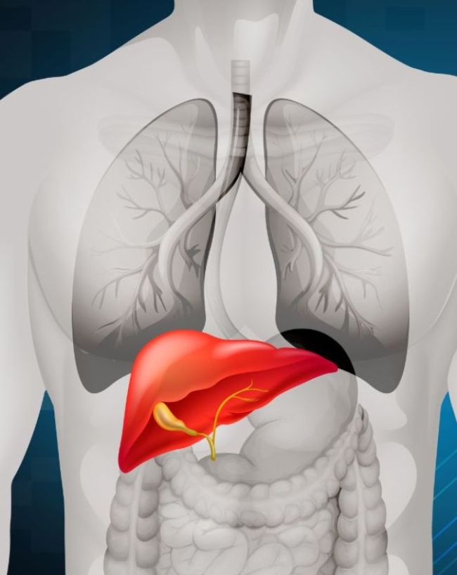 fatty liver home remedies-1-2-3-4-5-6