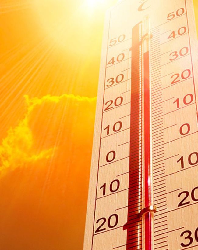 What foods reduce body heat-1-2-3-4-5-6-7