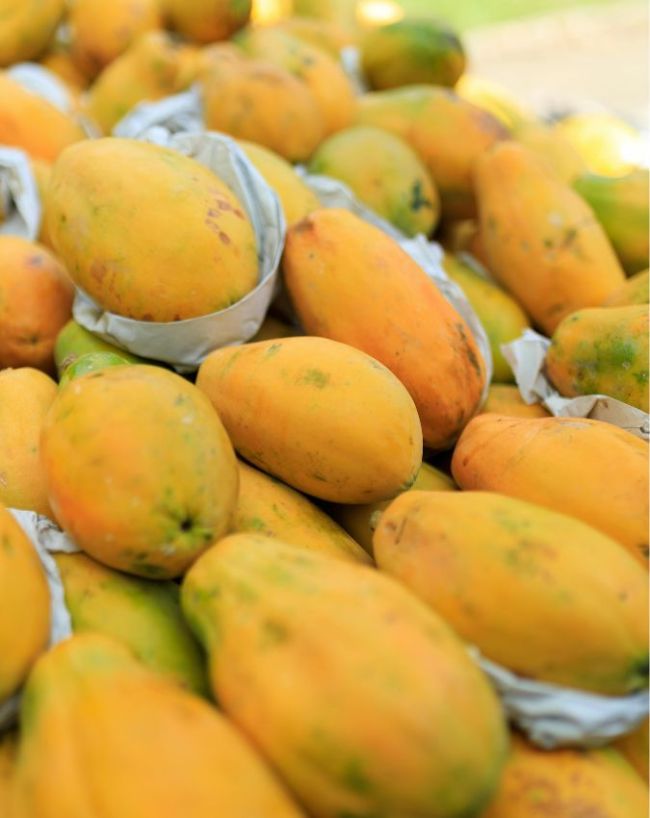 Papaya Side Effects-1-2-3-4-5-6-7