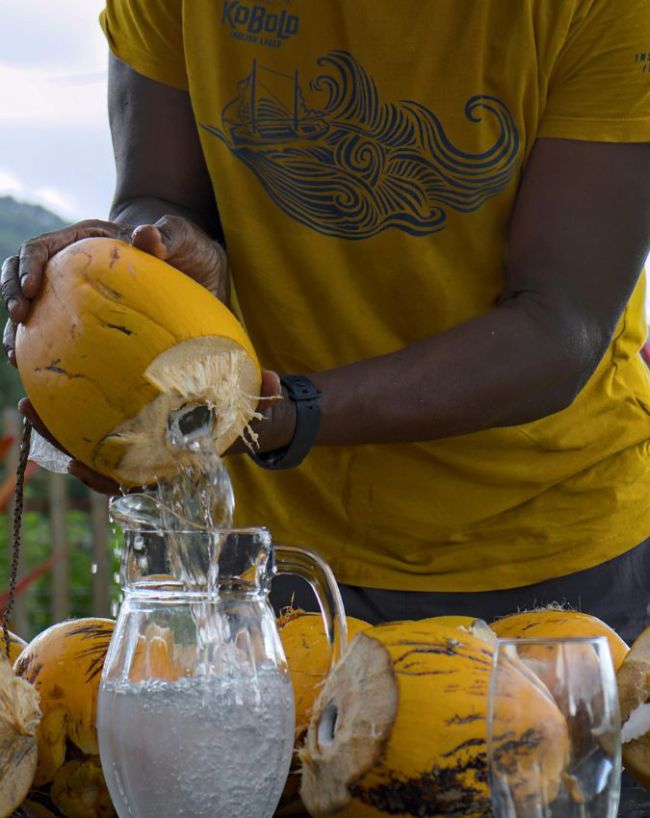coconut water drinking from coconut-1-2-3-4-5-6-7