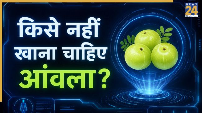 Who Should Avoid Amla Who Should Avoid Amla-1
