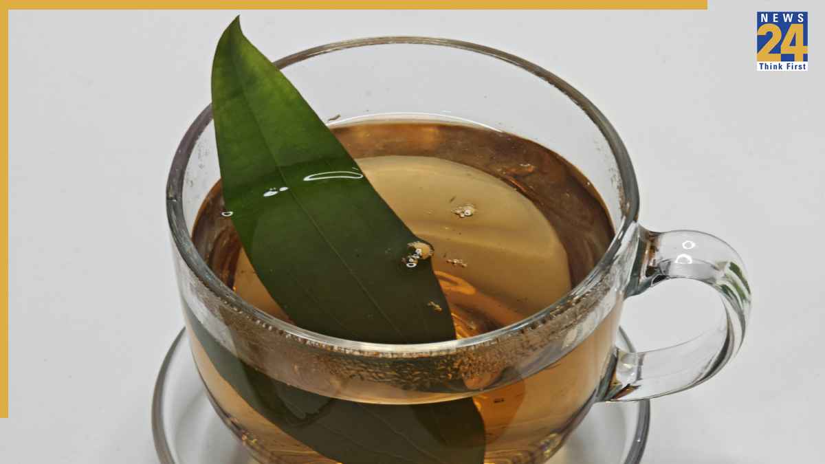 Bay Leaf Water Benefits