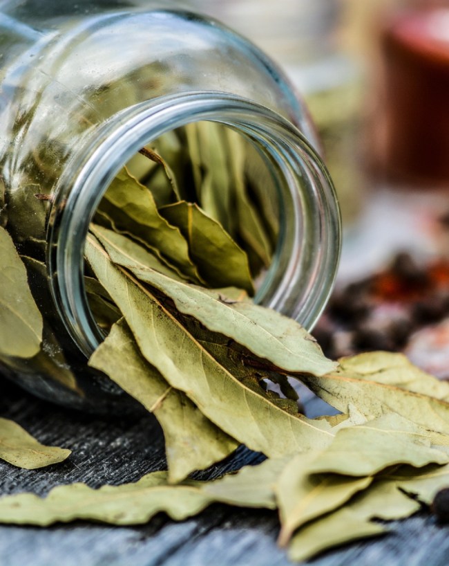 Bay Leaf Water Benefits-1-2
