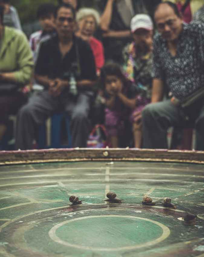 पर्यटकों की बढ़ी दिलचस्पी