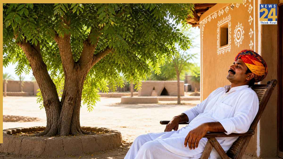 Rajasthan desi AC tree