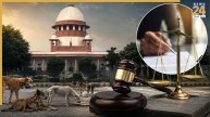 Supreme Court Stray Dogs