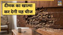 Dimak Termites