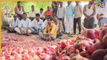 Indian Farmers