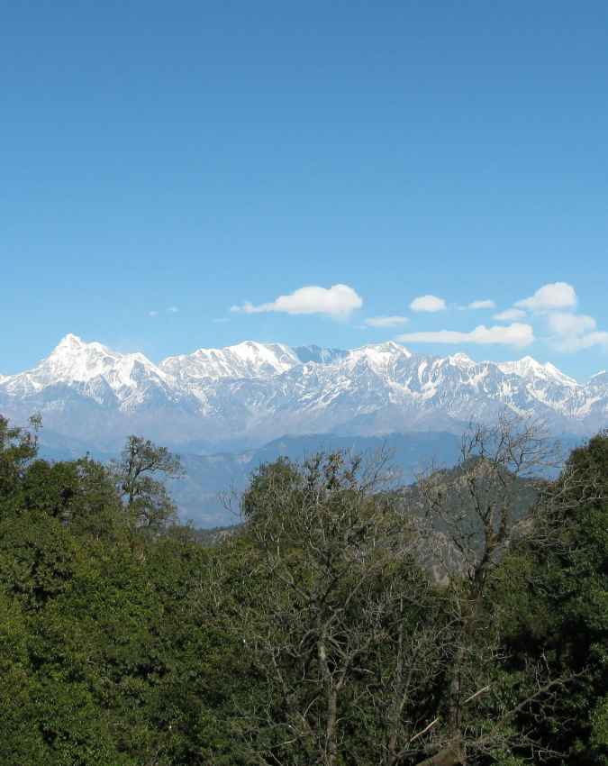 बिनसर 