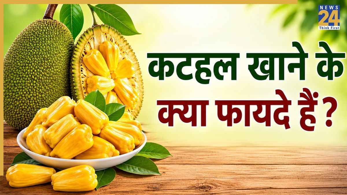 कटहल खाने पर शरीर को क्या फायदे मिलते हैं? जानिए किन लोगों के लिए वरदान से कम नहीं है Kathal