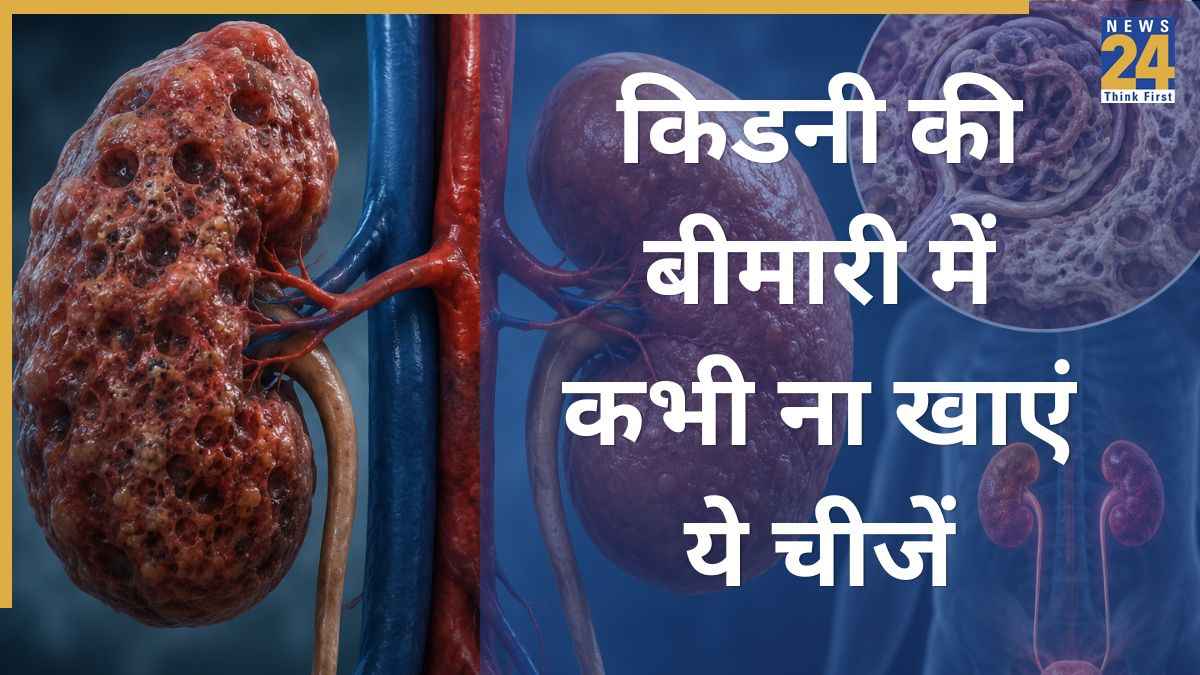 किडनी की दिक्कतों से परेशान हैं तो खाना छोड़ दीजिए ये 5 चीजें, फेल हो सकते हैं गुर्दे