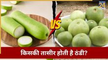 Vegetable For Dehydration