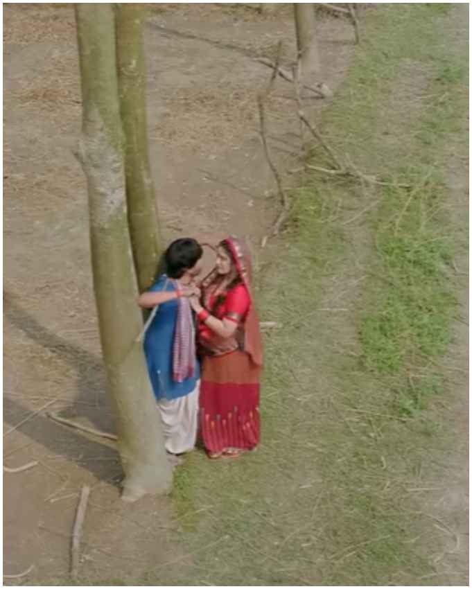 आम्रपाली दुबे और निरहुआ