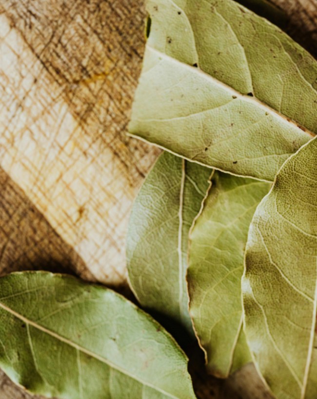 Bay Leaf Water Benefits-1-2-3