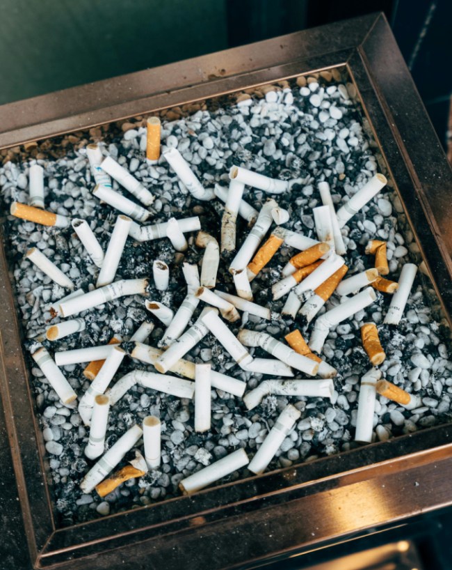 Cigarette Death Toll Per Year 2026-1-2-3-4-5-6-7