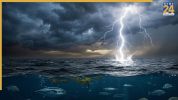 Why Don’t Fish Die When Lightning Strikes the Sea?