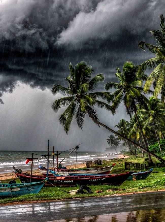 इन राज्यों में अटक गया दक्षिण पश्चिम मानसून