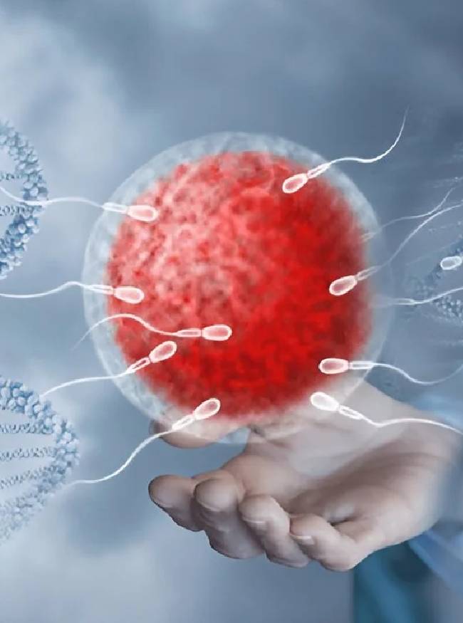 silent fertility crisis-1-2-3-4