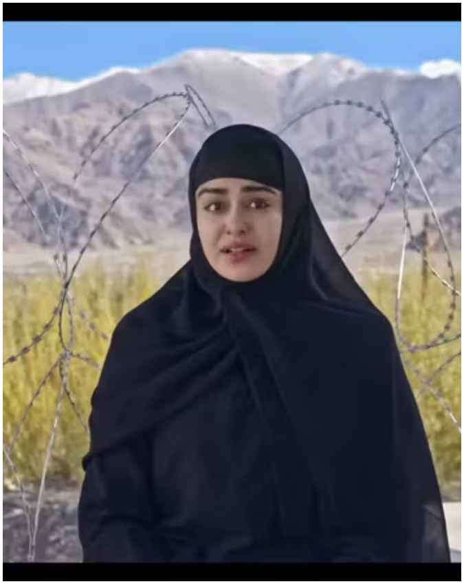 फिल्म का कलेक्शन