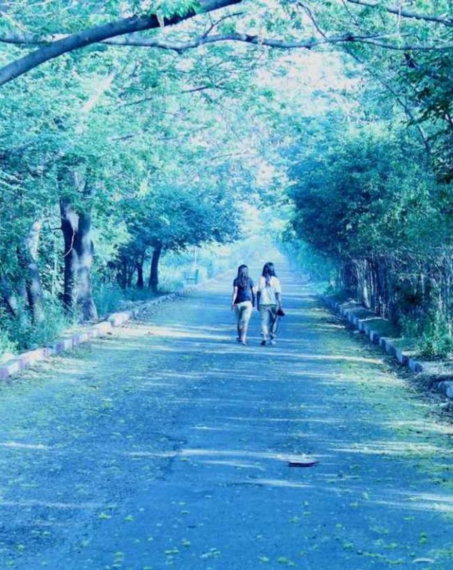 best places to visit in noida-1-2