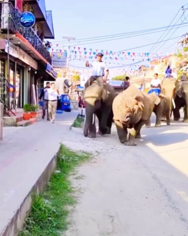 Nepal Viral-1-2-3-4-5-6
