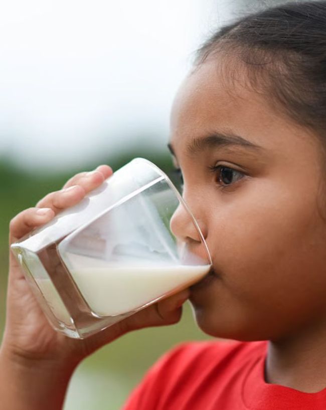 Full Cream Milk vs Toned Milk-1-2-3-4-5