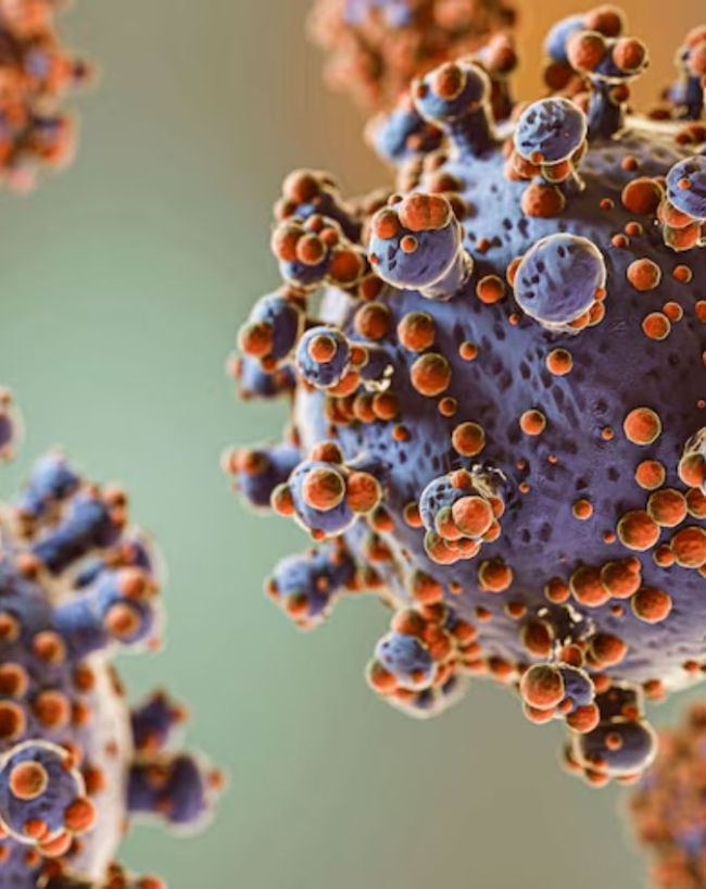 Ebola virus-1-2-3