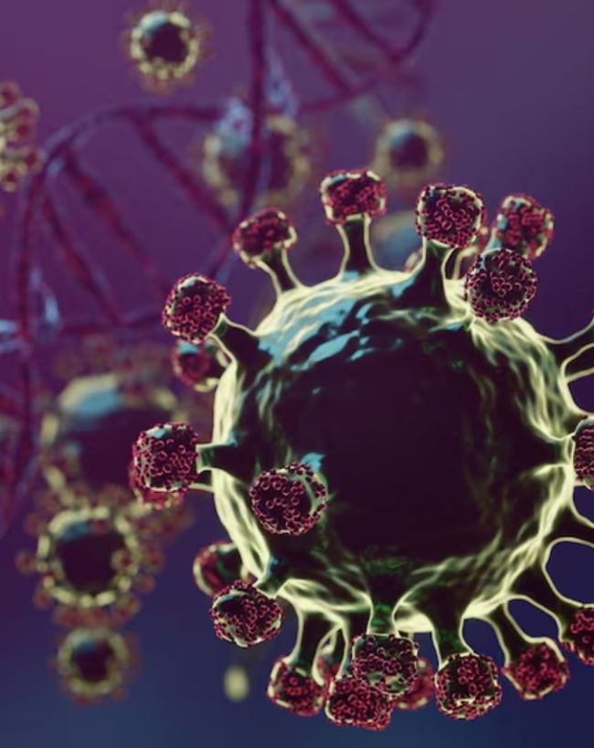 Ebola virus-1-2-3-4-5-6-7