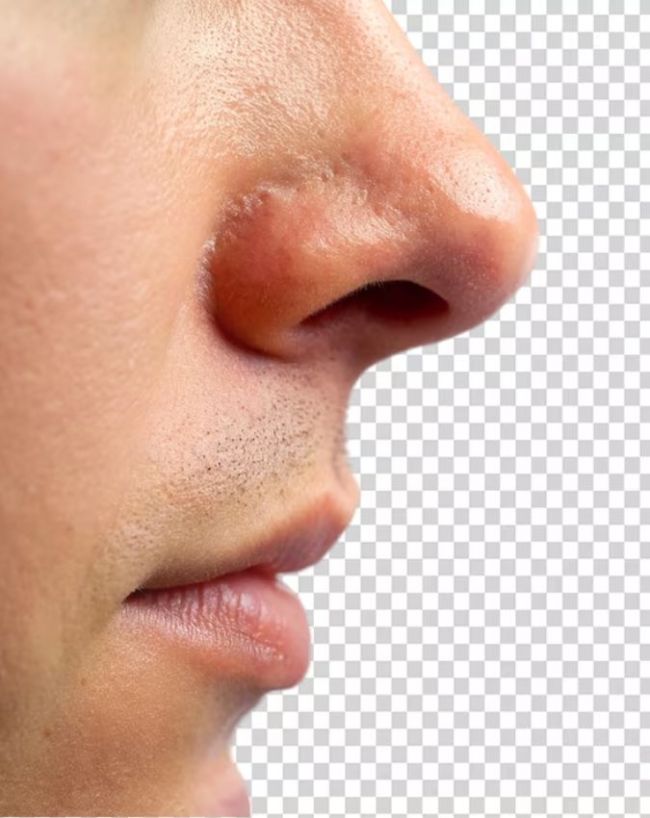 mouth breathing disadvantage-1-2-3-4-5-6