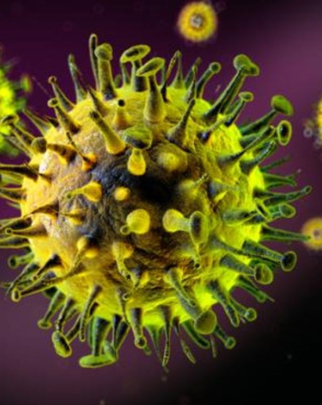 Ebola virus-1-2-3-4-5
