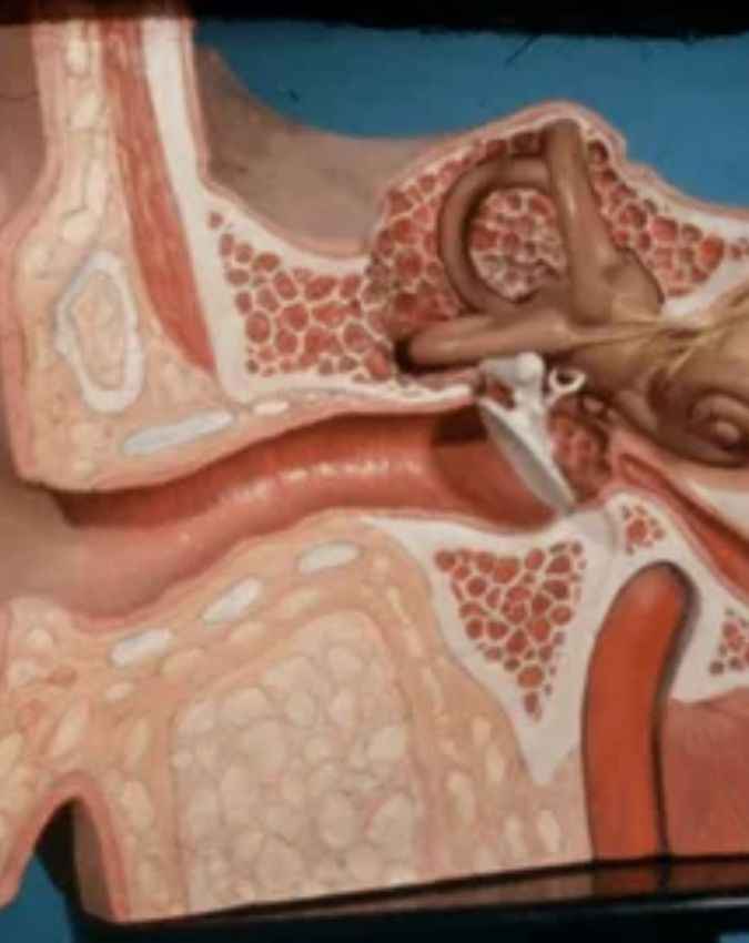 कान में भारीपन महसूस हो तो क्या करें? 