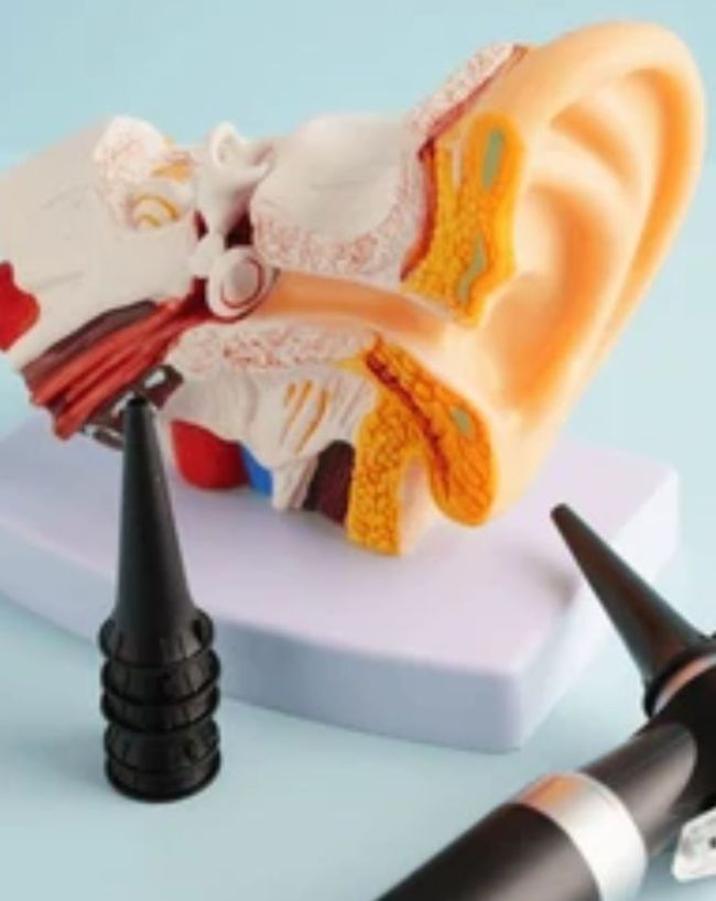 what is ear infection what is ear infection-1-2