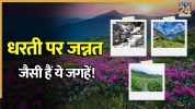 VALLEY OF FOLLWERS