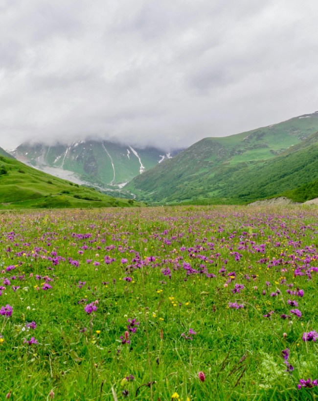 VALLEY OF FOLLWERS-1-2-3-4-5