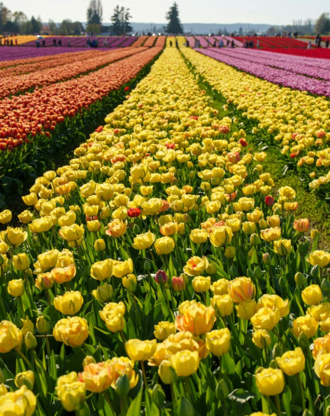 VALLEY OF FOLLWERS-1-2-3-4-5-6