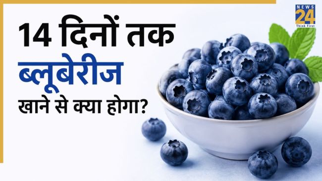 Blueberries Benefits in hindi Blueberries Benefits in hindi-1