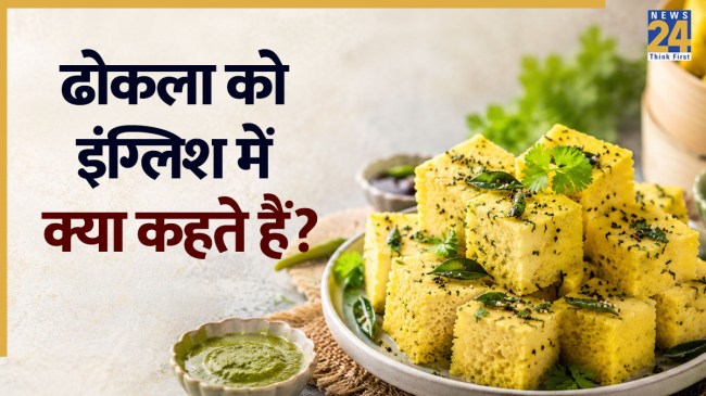Dhokla in english Dhokla in english-1