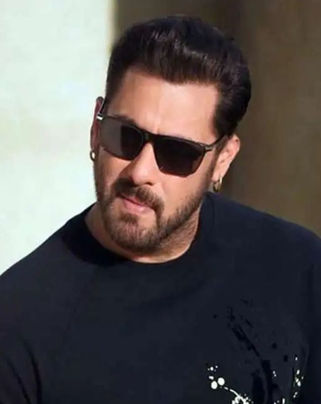 don 3 controversy salman khan entry-1-2