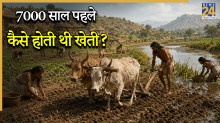 7000 साल पहले कैसे होती थी खेती? वैज्ञानिकों ने खोजा प्राचीन दुनिया का चौंकाने वाला सच