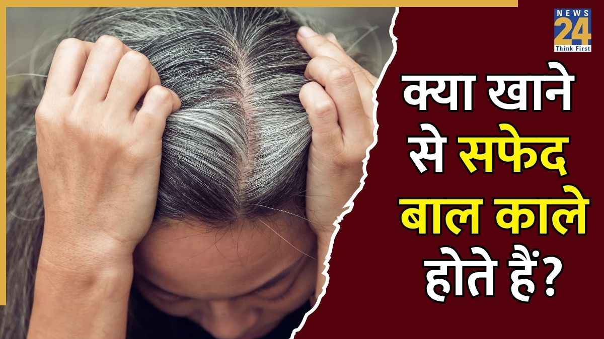 जवानी में ही सफेद होने लगे हैं बाल तो खाना शुरू कर दीजिए ये 7 चीजें, एकबार फिर ब्लैक होने लगेंगी लटें