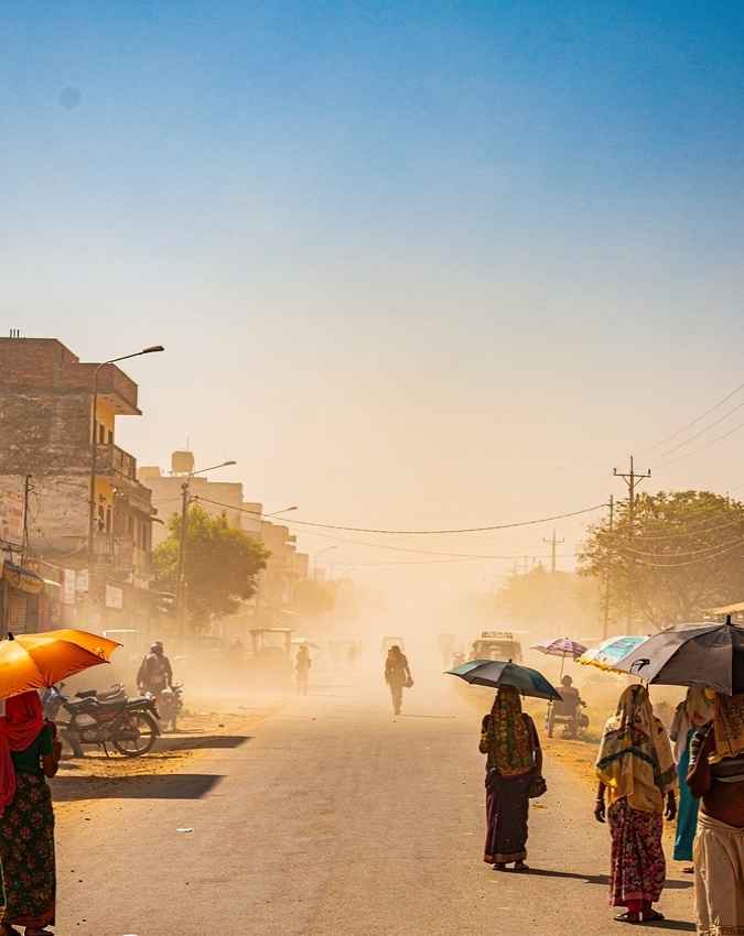 जंगलों की कटाई ने बढ़ाई मुश्किल