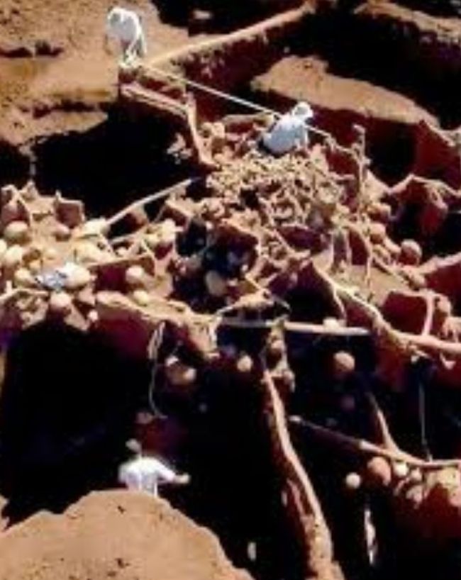 Brazil Underground ant city-1-2