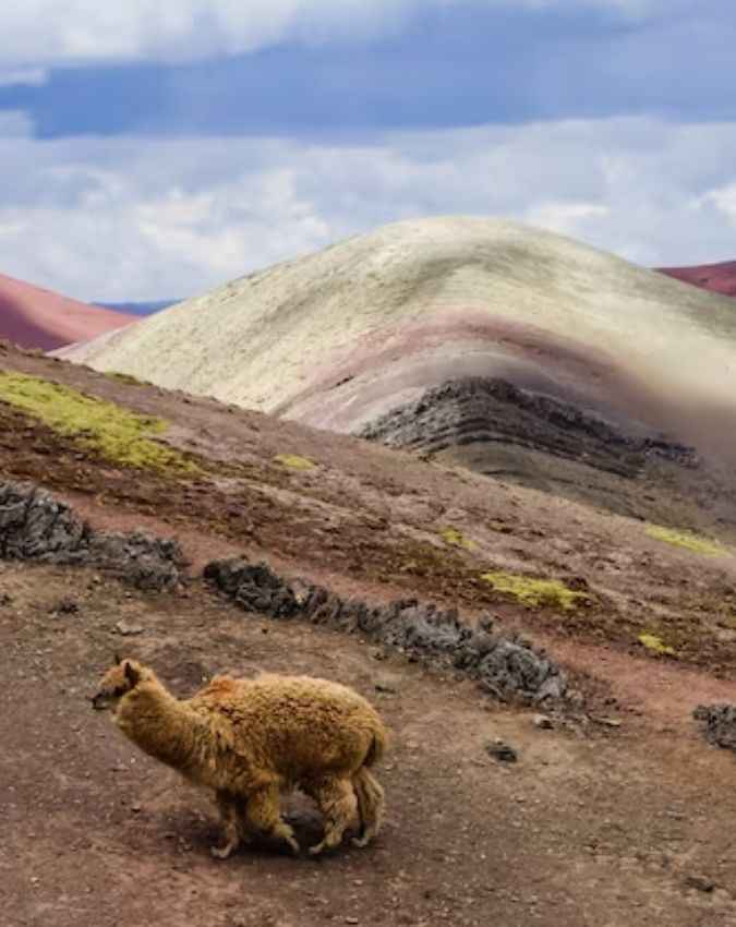 ट्रेकिंग प्रेमियों के लिए स्वर्ग