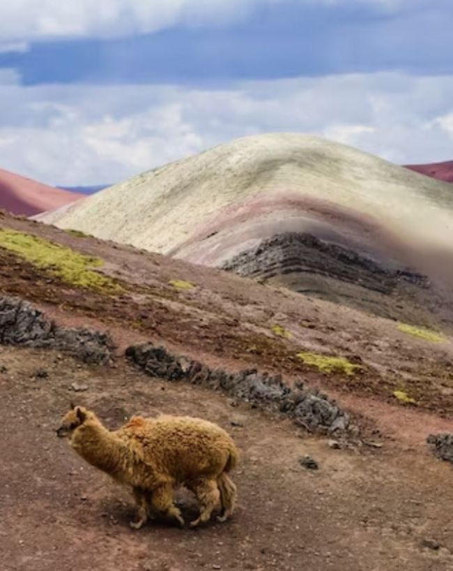 Peru Vinicunca Known As The Rainbow Mountain-1-2-3-4