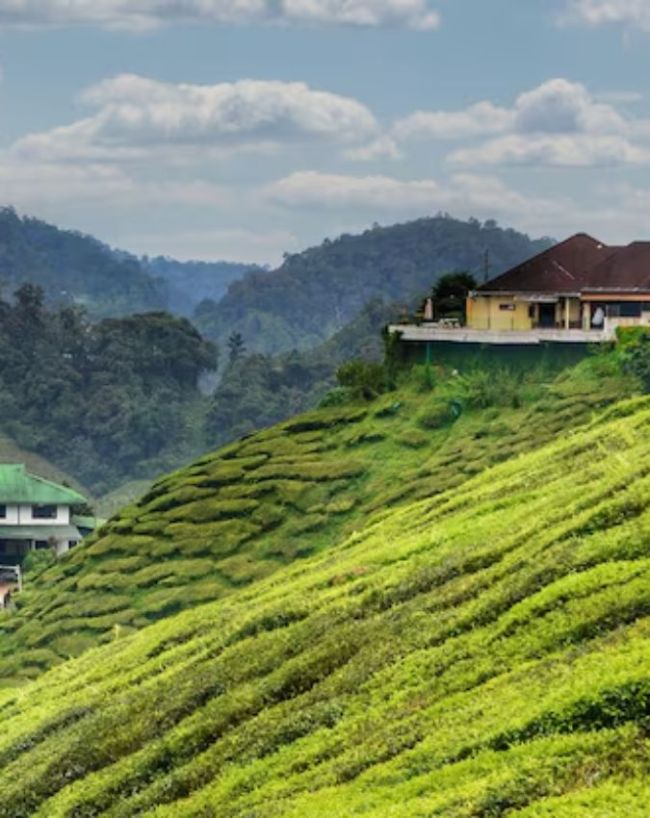 Best Hill stations for summer vacation-1-2-3-4-5-6